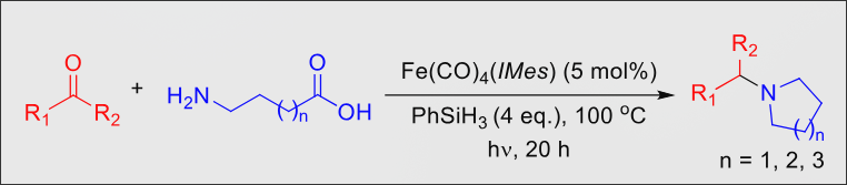 ChemSusChem 2019 — Iron-Catalysed Reductive Amination
